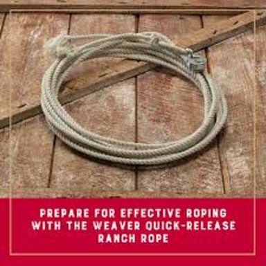 A looped rope used by a ranch hand to catch cattle.