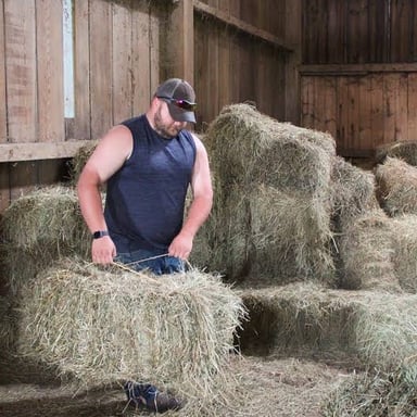 A round hay bale beside rectangular bales in a farm field.