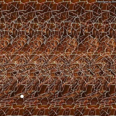 A stereogram containing a hidden three-dimensional image