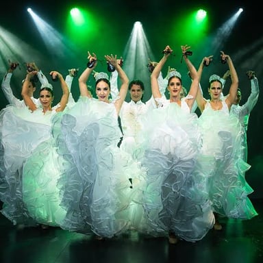 Flamenco dancers performing before an applauding audience