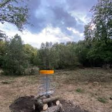 A disc golf basket positioned near a tree on a course