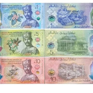 Brunei dollar banknotes and coins, the currency used in Brunei.