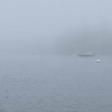 A boat moves through fog that obscures the nearby shore.