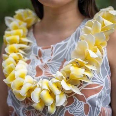 A garland of plumeria flowers arranged as a lei.