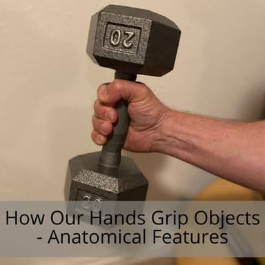 A hand wrapped around and holding an object.