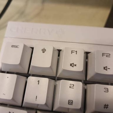 A computer keyboard showing the Esc key beside F1