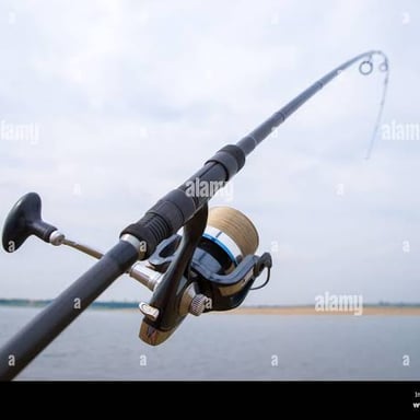 A fishing reel attached to a fishing rod.