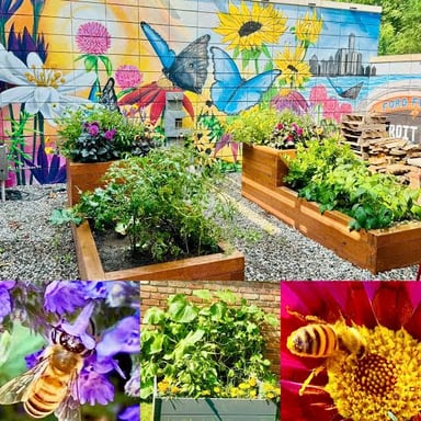 Bees gathering among flowers in a busy summer garden.
