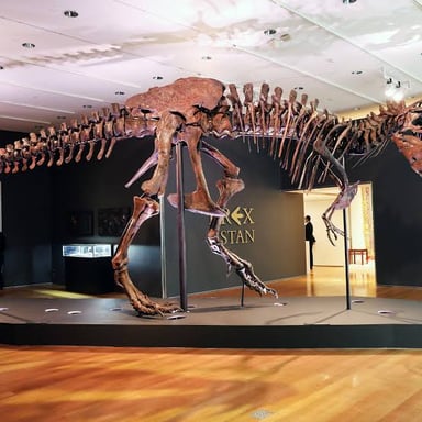 A Tyrannosaurus rex skeleton, representing the dinosaur abbreviated as “dino.”