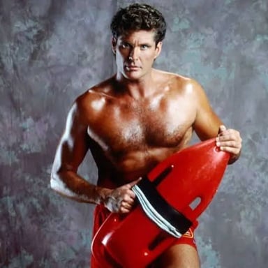 David Hasselhoff portrayed lifeguard Mitch Buchannon on the television series Baywatch.