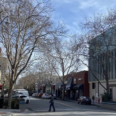 A street scene in Palo Alto, California.