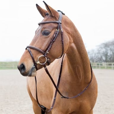 A horse wearing a bridle with reins attached for a rider to hold.