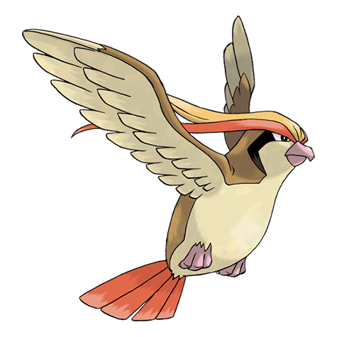 Pidgeot