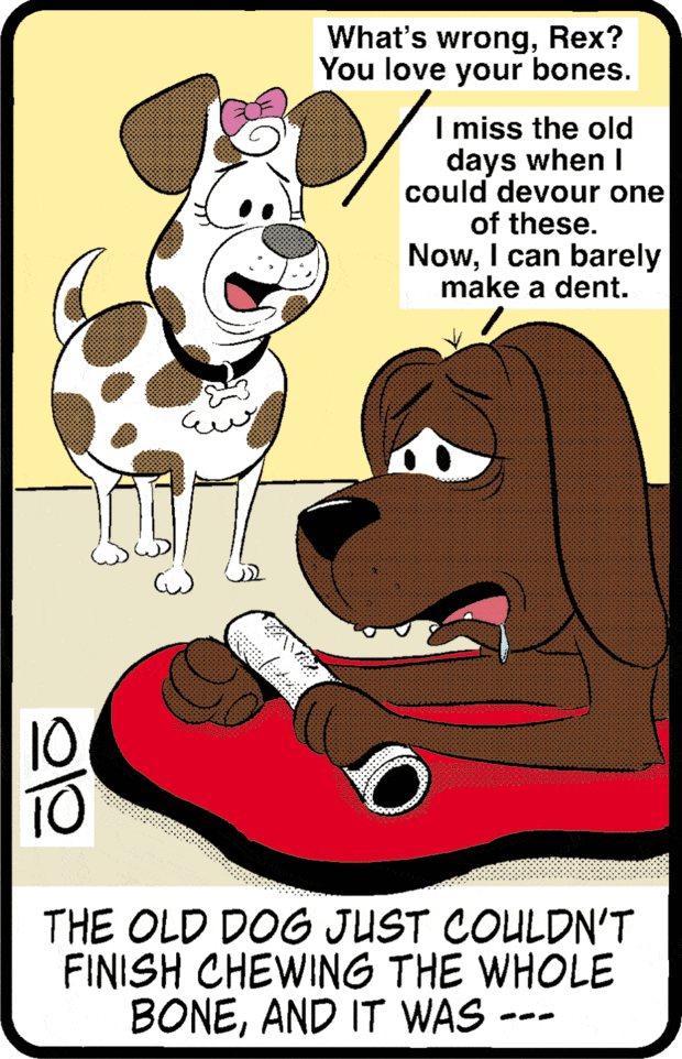 Jumble Answers October 10, 2026 — Words & Cartoon