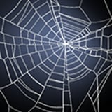 Spin Web